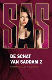 De schat van Saddam 2