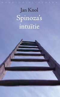 Spinoza's intuitie