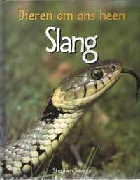 Dieren om ons heen  -   Slang