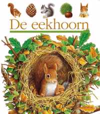 De eekhoorn