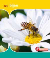 Bijen - Minke van Dam - Hardcover (9789464390223)