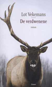 De verdwenene