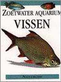 Zoetwatervissen