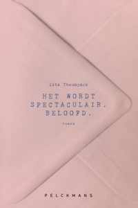 Het wordt spectaculair. Beloofd - Zita Theunynck - Paperback (9789460015595)