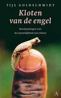 Kloten van de engel