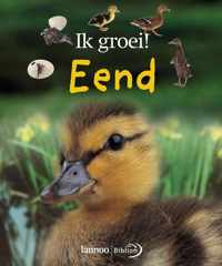 Eend