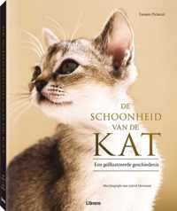 De schoonheid van de kat