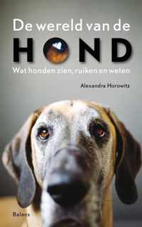 De wereld van de hond