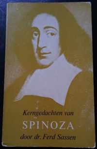 Kerngedachten van Spinoza