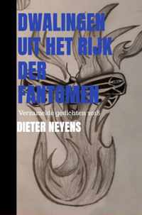 Dwalingen uit het rijk der fantomen - Dieter Neyens - Paperback (9789464486933)