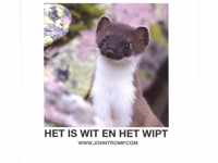 Het is wit en het wipt