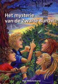 Mysterie Van De Zwarte Burcht