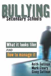 Bullying In Secondary Schools