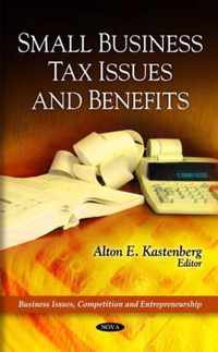 Small Business Tax Issues & Benefits