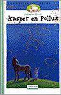 LETTERTUIN KASPER EN POLLUX