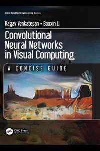 Convolutional Neural Networks in Visual Computing