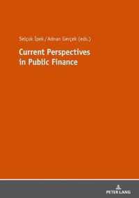 Current Perspectives in Public Finance