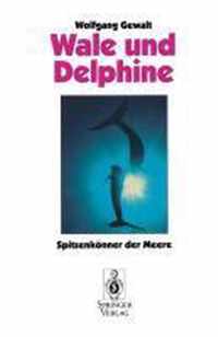 Wale und Delphine