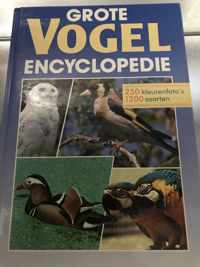 Grote vogel encyclopedie 095