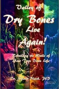 Valley of Dry Bones Live Again Rebuilding the Walls of Your Torn Down Life