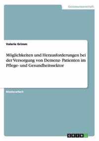 Moeglichkeiten und Herausforderungen bei der Versorgung von Demenz- Patienten im Pflege- und Gesundheitssektor