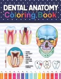 Dental Anatomy Coloring Book