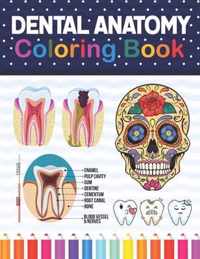 Dental Anatomy Coloring Book