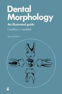 Dental Morphology