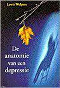 Anatomie Van Een Depressie