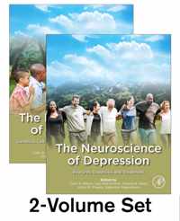 The Neuroscience of Depression