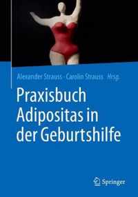 Praxisbuch Adipositas in der Geburtshilfe