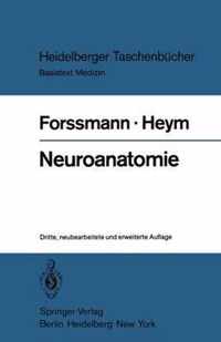 Neuroanatomie