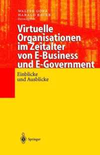 Virtuelle Organisationen Im Zeitalter Von E-Business Und E-Government