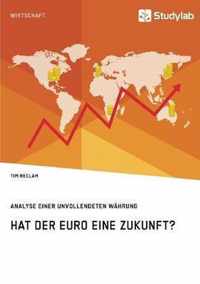 Hat der Euro eine Zukunft? Analyse einer unvollendeten Wahrung