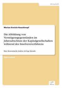 Die Abbildung von Vermoegensgegenstanden im Jahresabschluss der Kapitalgesellschaften wahrend des Insolvenzverfahrens