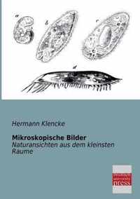 Mikroskopische Bilder