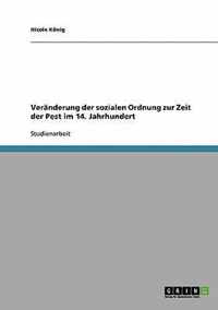 Veranderung der sozialen Ordnung zur Zeit der Pest im 14. Jahrhundert