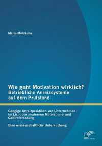 Wie geht Motivation wirklich? - Betriebliche Anreizsysteme auf dem Prüfstand: Gängige Anreizpraktiken von Unternehmen im Licht der modernen Motivations- und Gehirnforschung - Eine wissenschaftliche Untersuchung