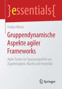 Gruppendynamische Aspekte agiler Frameworks