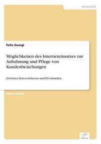 Moeglichkeiten des Interneteinsatzes zur Anbahnung und Pflege von Kundenbeziehungen