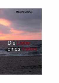 Die Liebe eines Vaters