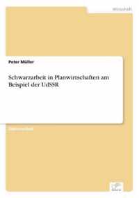 Schwarzarbeit in Planwirtschaften am Beispiel der UdSSR