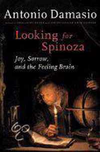 Looking for Spinoza