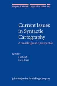 Current Issues in Syntactic Cartography