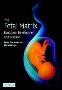 The Fetal Matrix