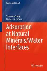 Adsorption at Natural Minerals/Water Interfaces