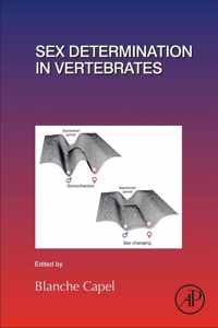 Sex Determination in Vertebrates