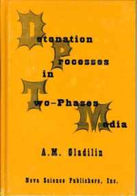 Detonation Process in Two-Phase Media