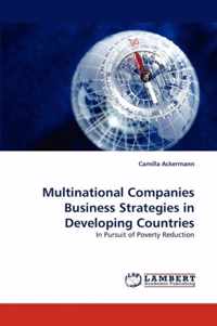 Multinational Companies Business Strategies in Developing Countries