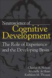 Neuroscience Of Cognitive Development